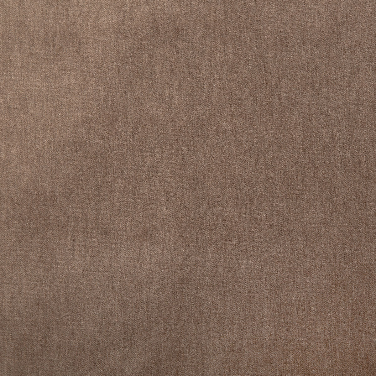 8348-kiara-chestnut-pindler