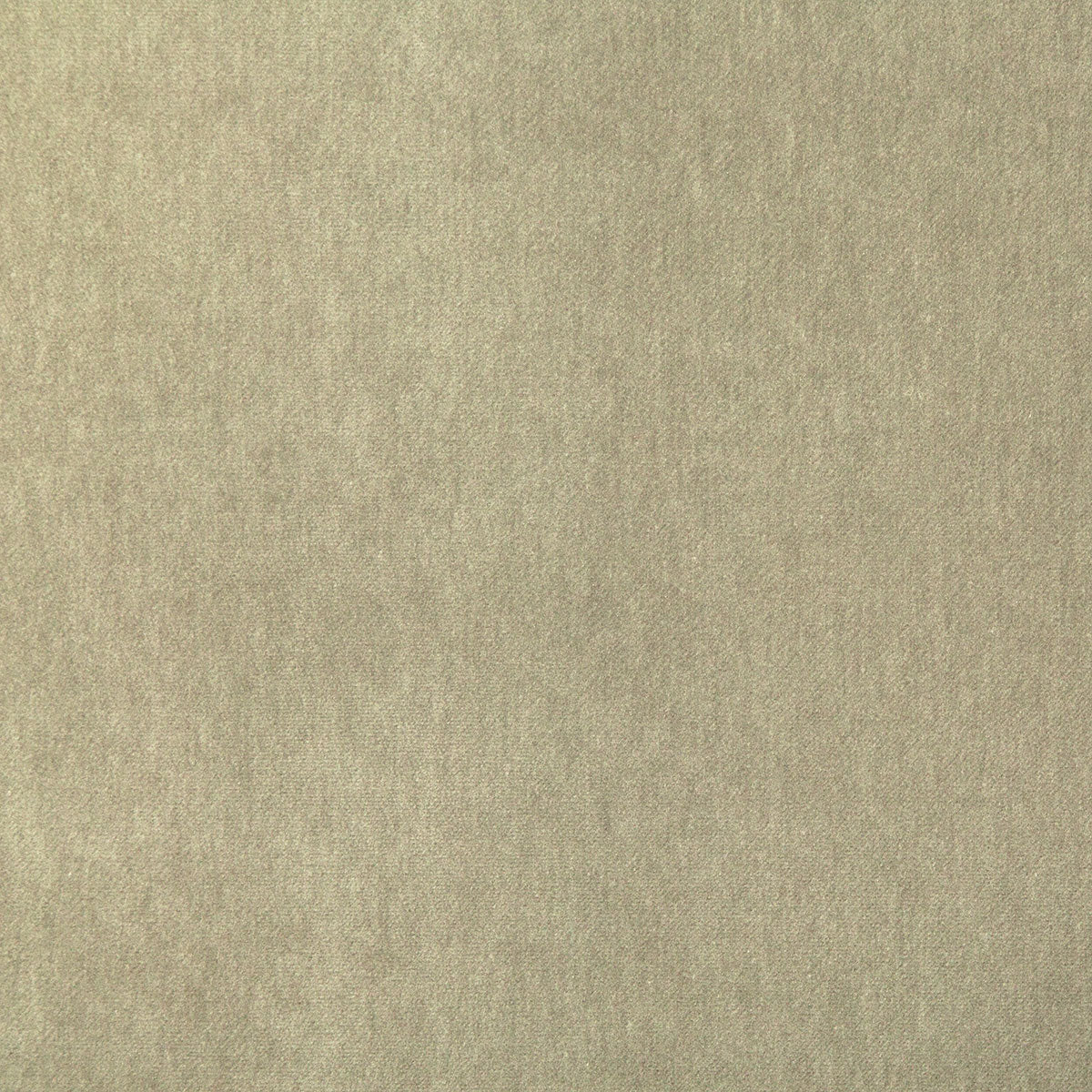 8348-kiara-driftwood-pindler