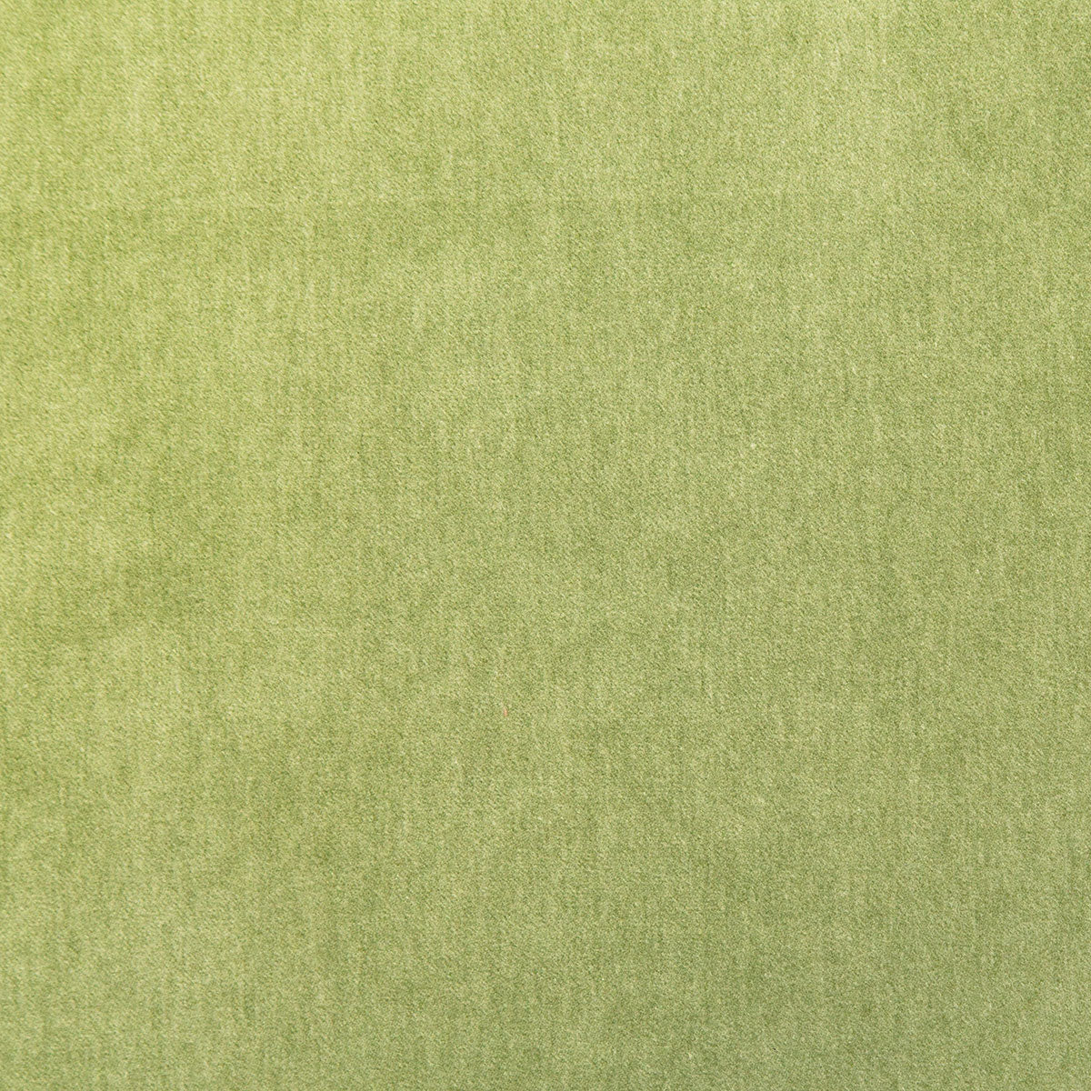 8348-kiara-palm-pindler