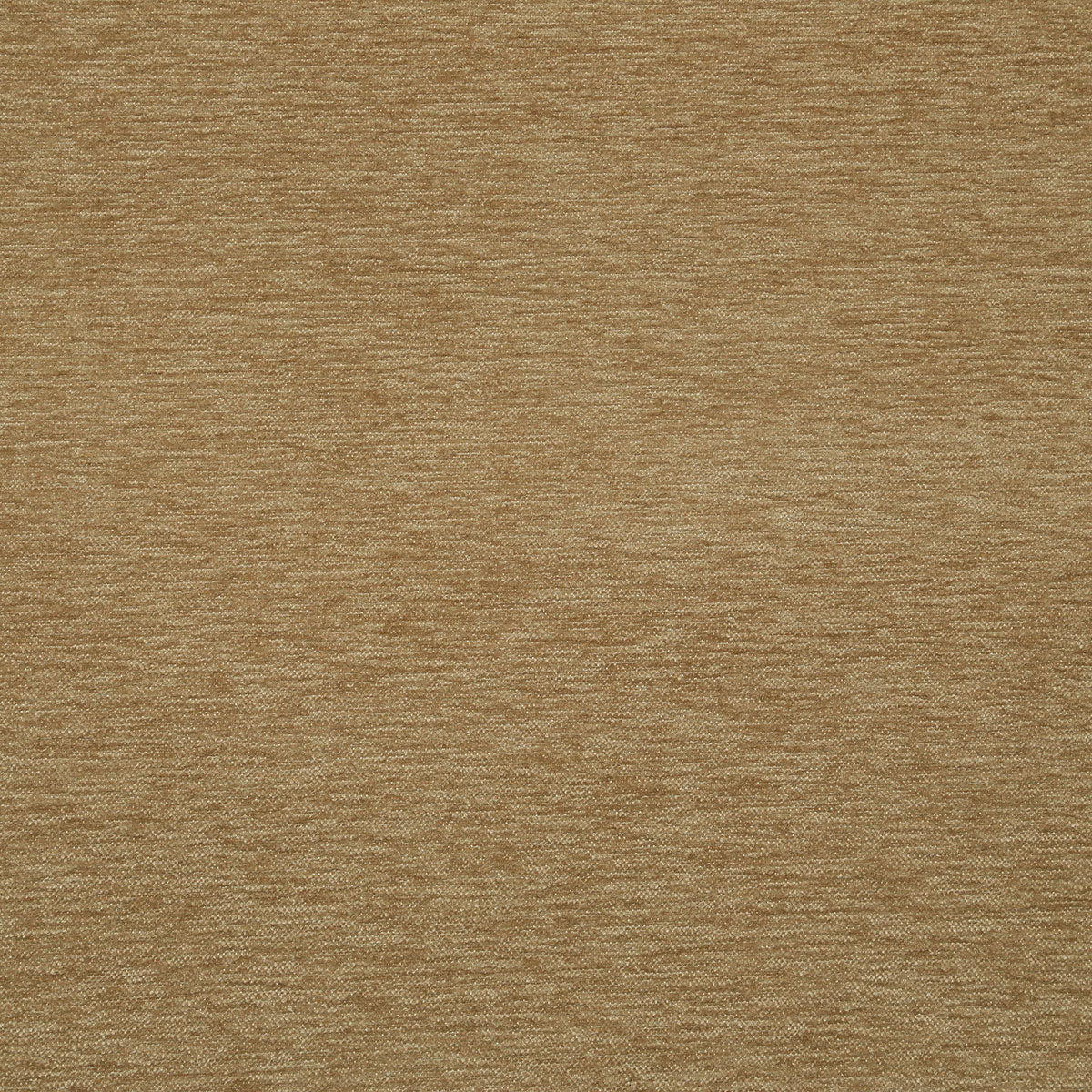 8355-kirk-camel-pindler