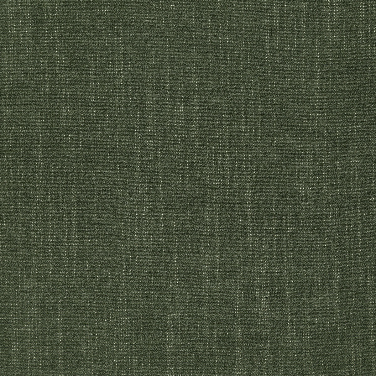 8362-kekoa-forest-pindler