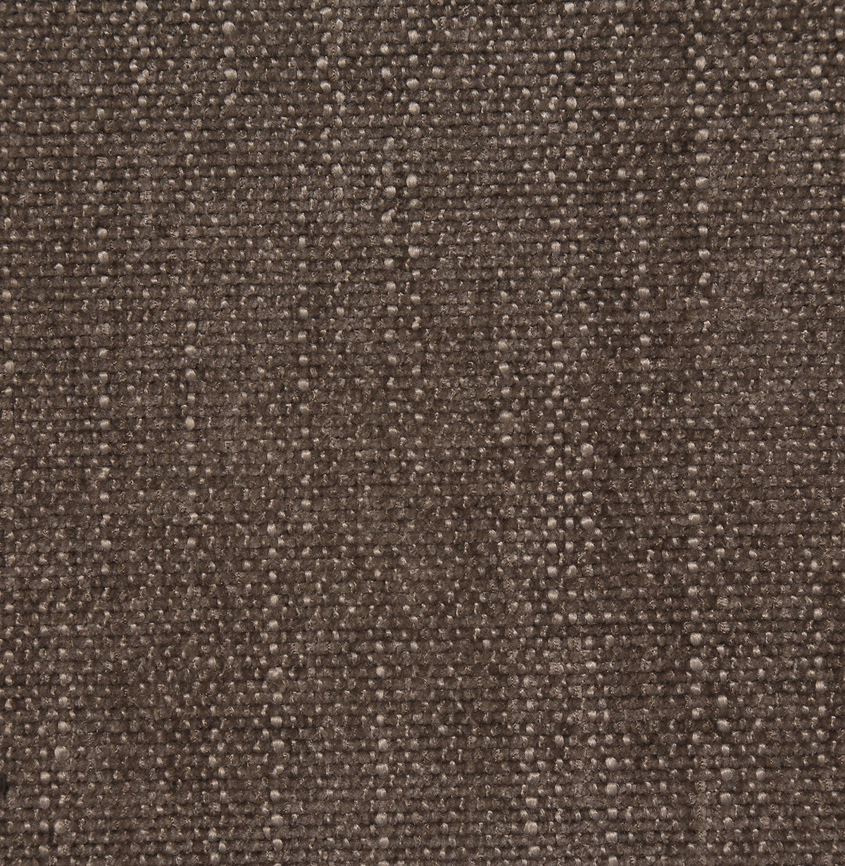 8365-tia-bark-pindler