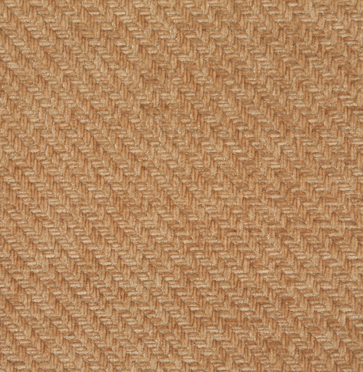 8366-zach-amber-pindler