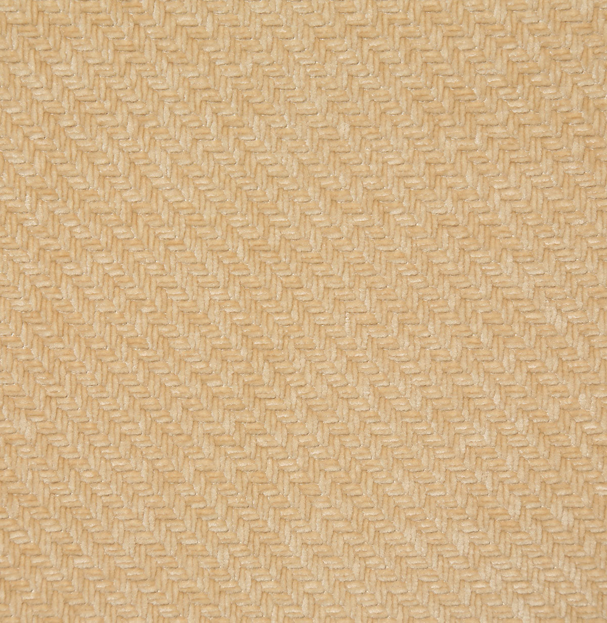 8366-zach-papyrus-pindler