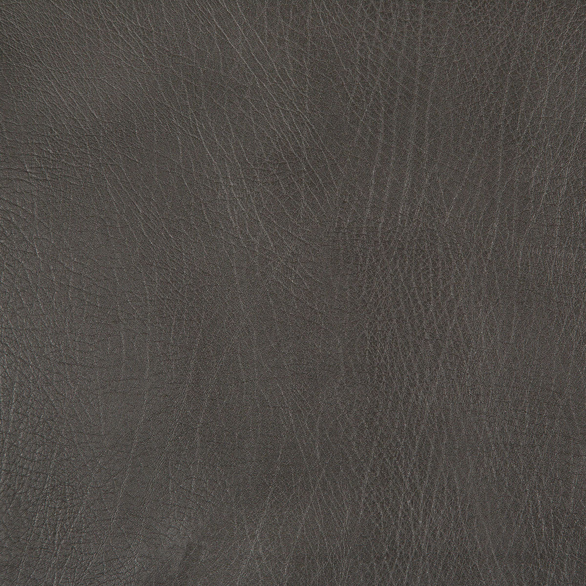 8371-rowdy-bark-pindler - Pindler Fabric