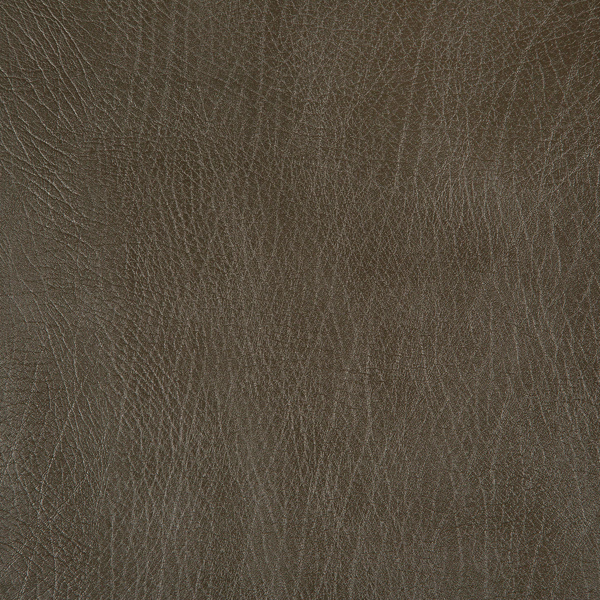8371-rowdy-moss-pindler - Pindler Fabric