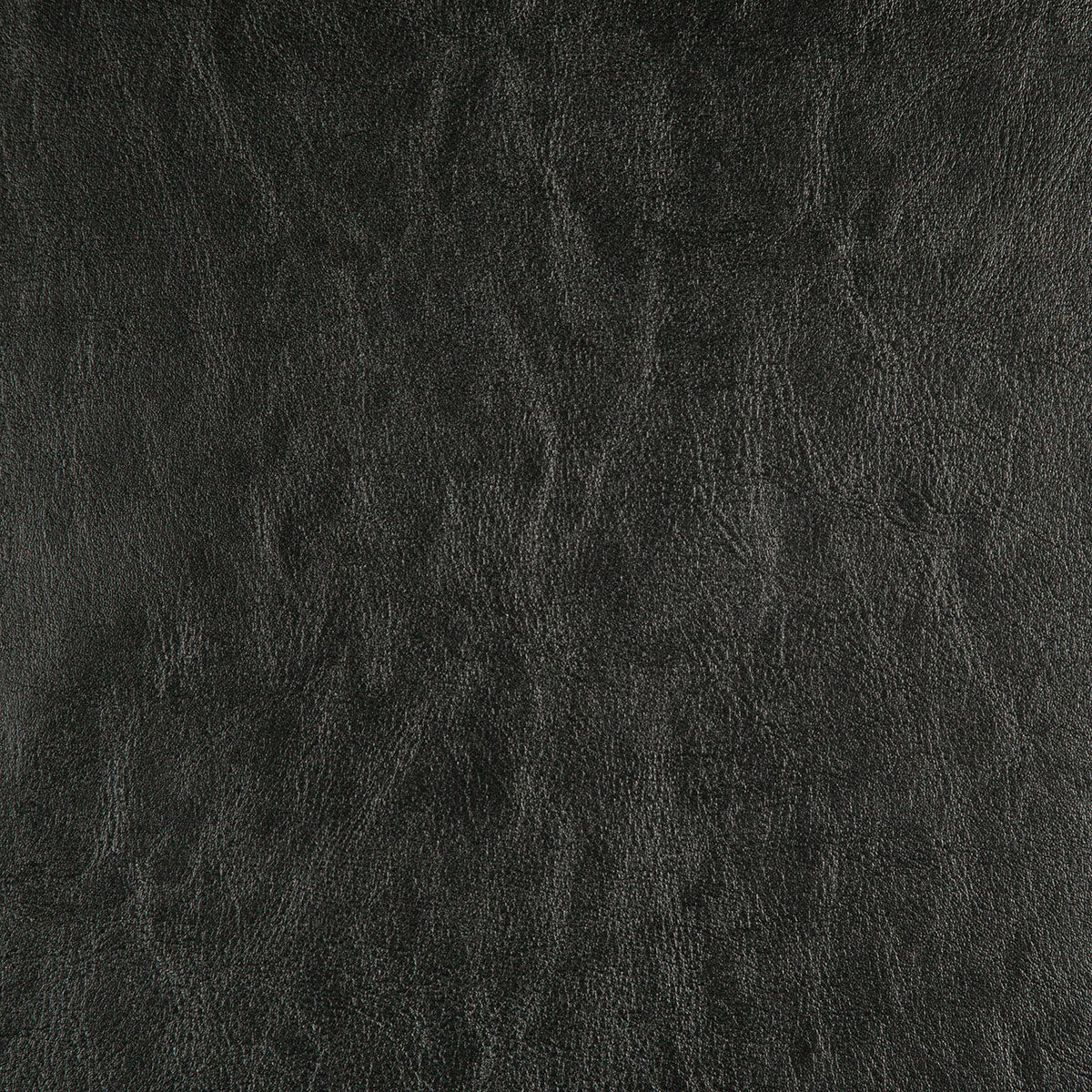 8372-carter-black-pindler