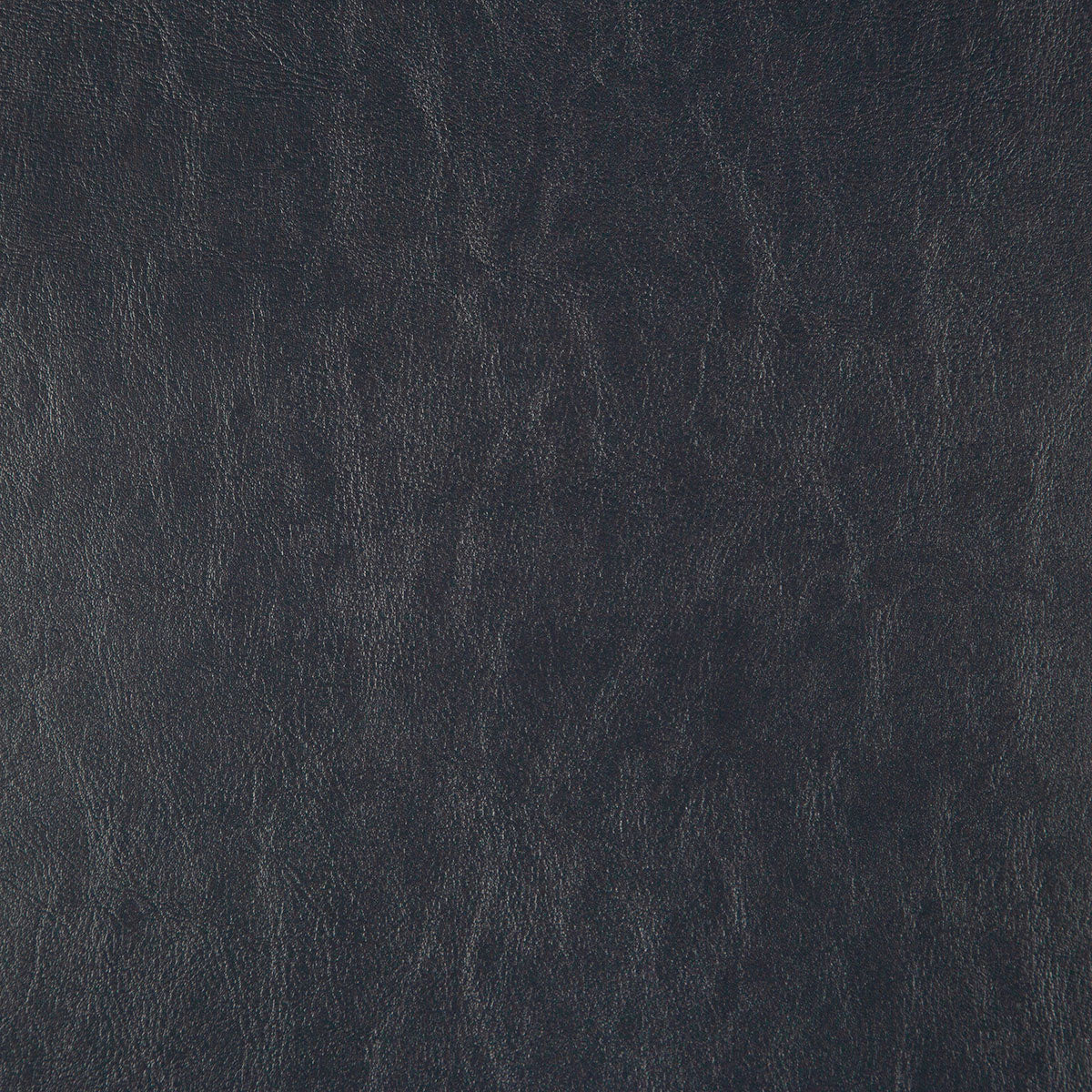 8372-carter-eggplant-pindler