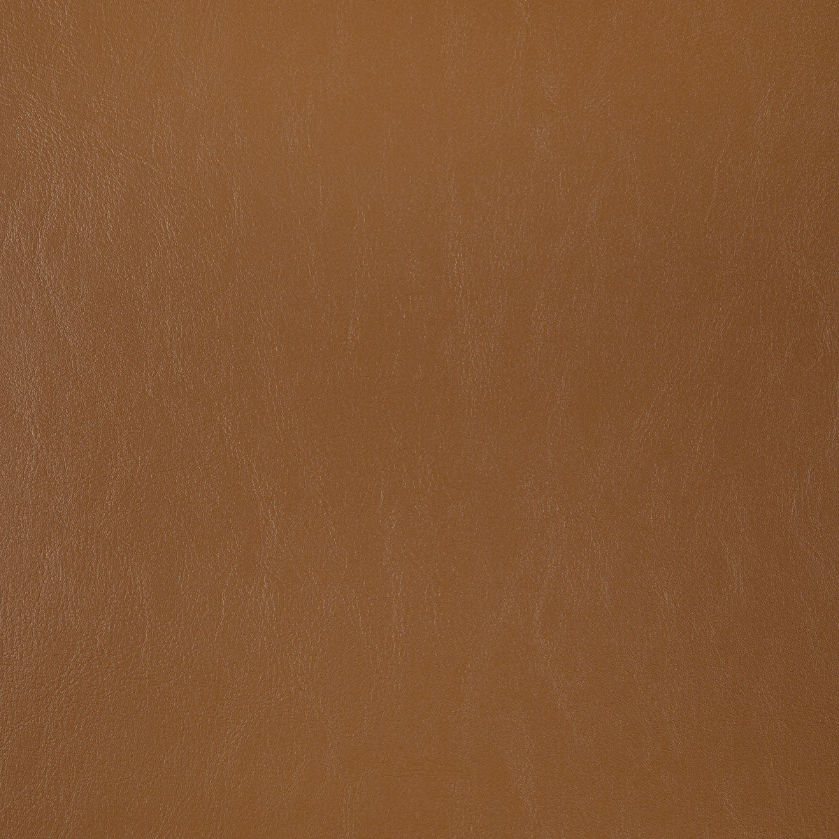 8372-carter-fawn-pindler