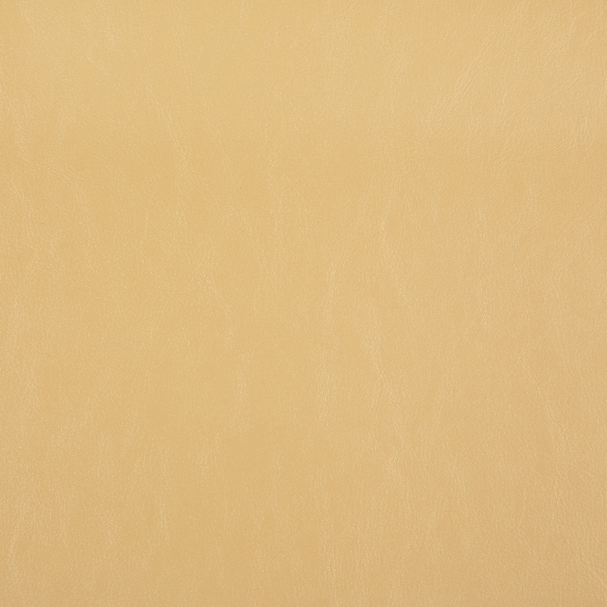 8372-carter-papyrus-pindler - Pindler Fabric