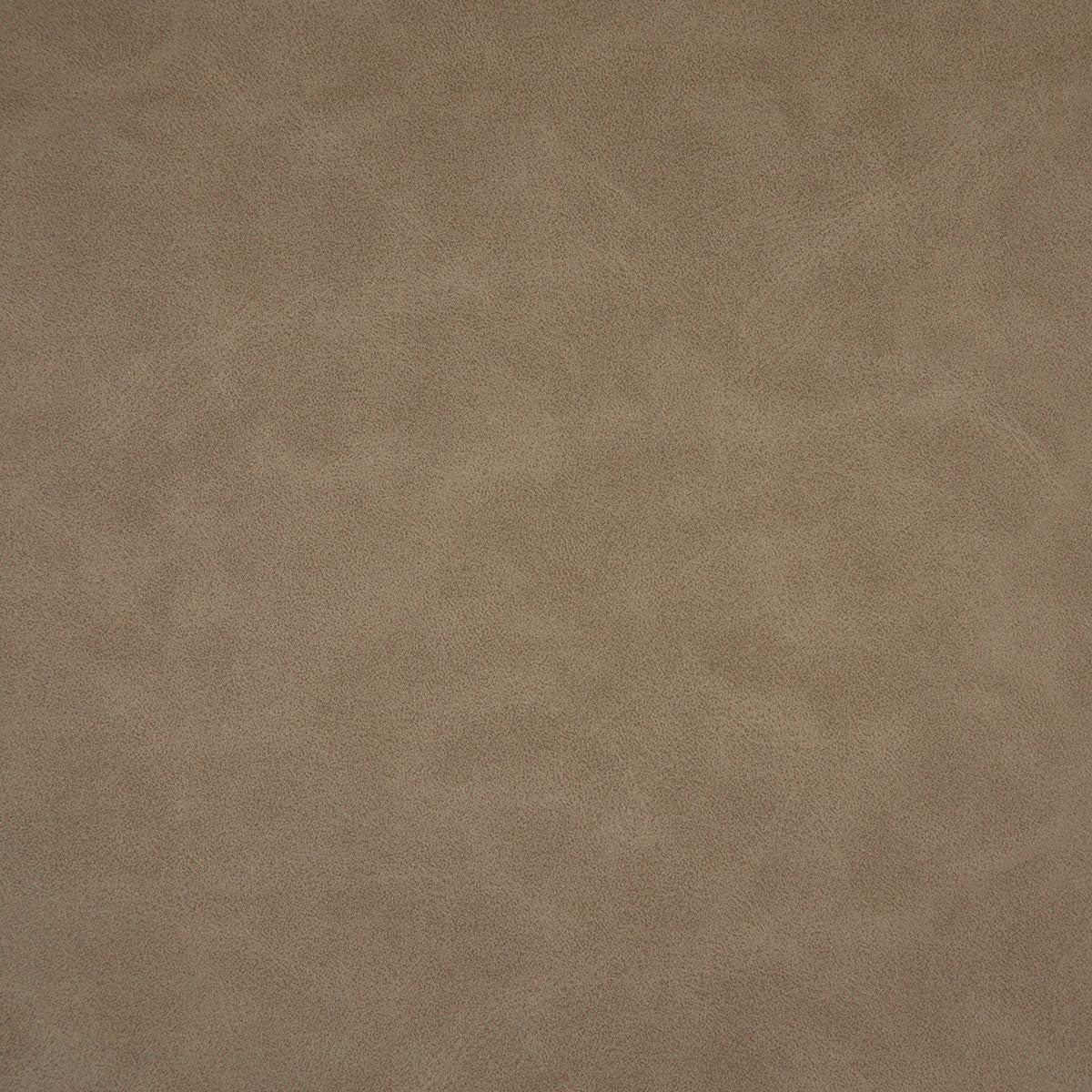 8373-higgins-desert-pindler
