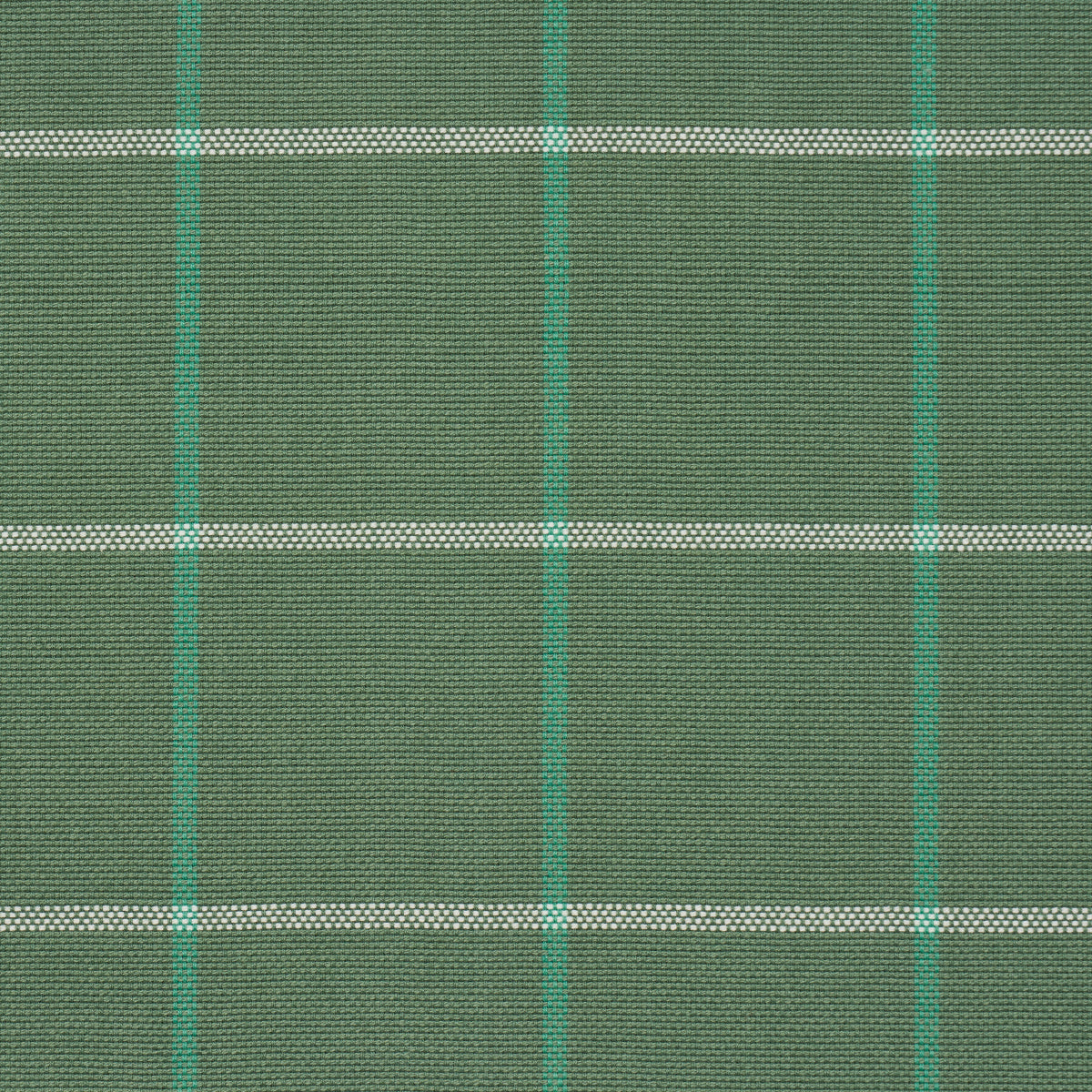 Frannie Windowpane - Green - Schumacher 83783 Fabric - Schumacher Fabric