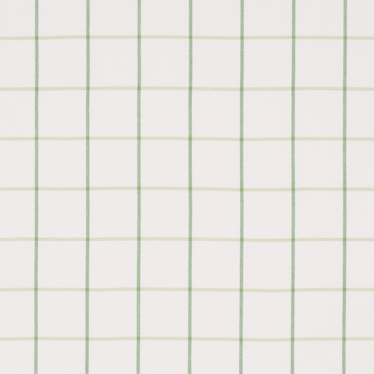 FRANNIE-WINDOWPANE-LEAF-GREEN-SCHUMACHER-83786