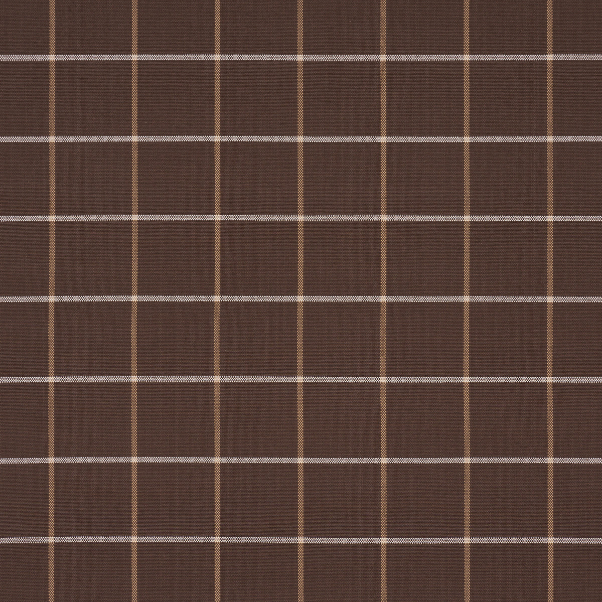 FRANNIE-WINDOWPANE-CHOCOLATE-SCHUMACHER-83788
