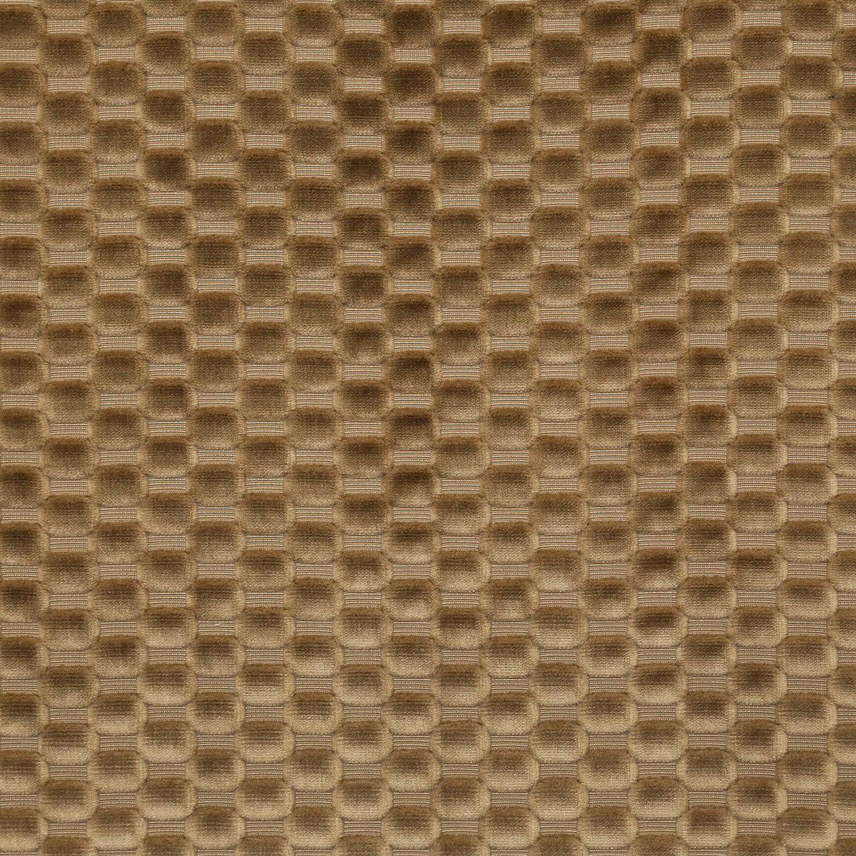 8388-axel-chestnut-pindler