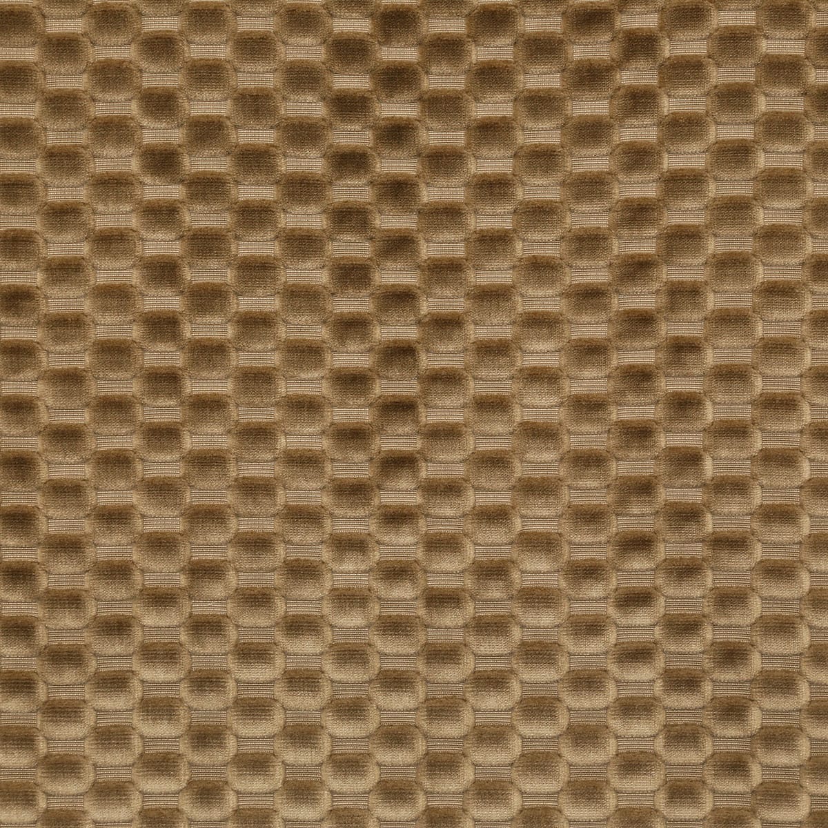 8388-axel-chestnut-pindler