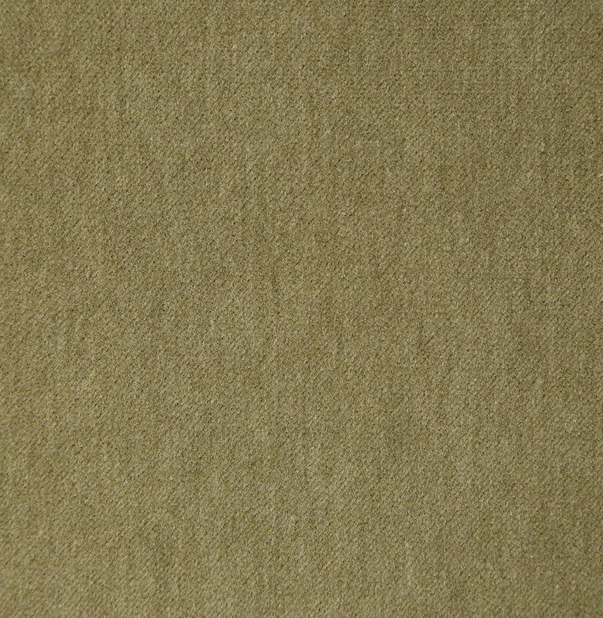 8390-steadman-caper-pindler