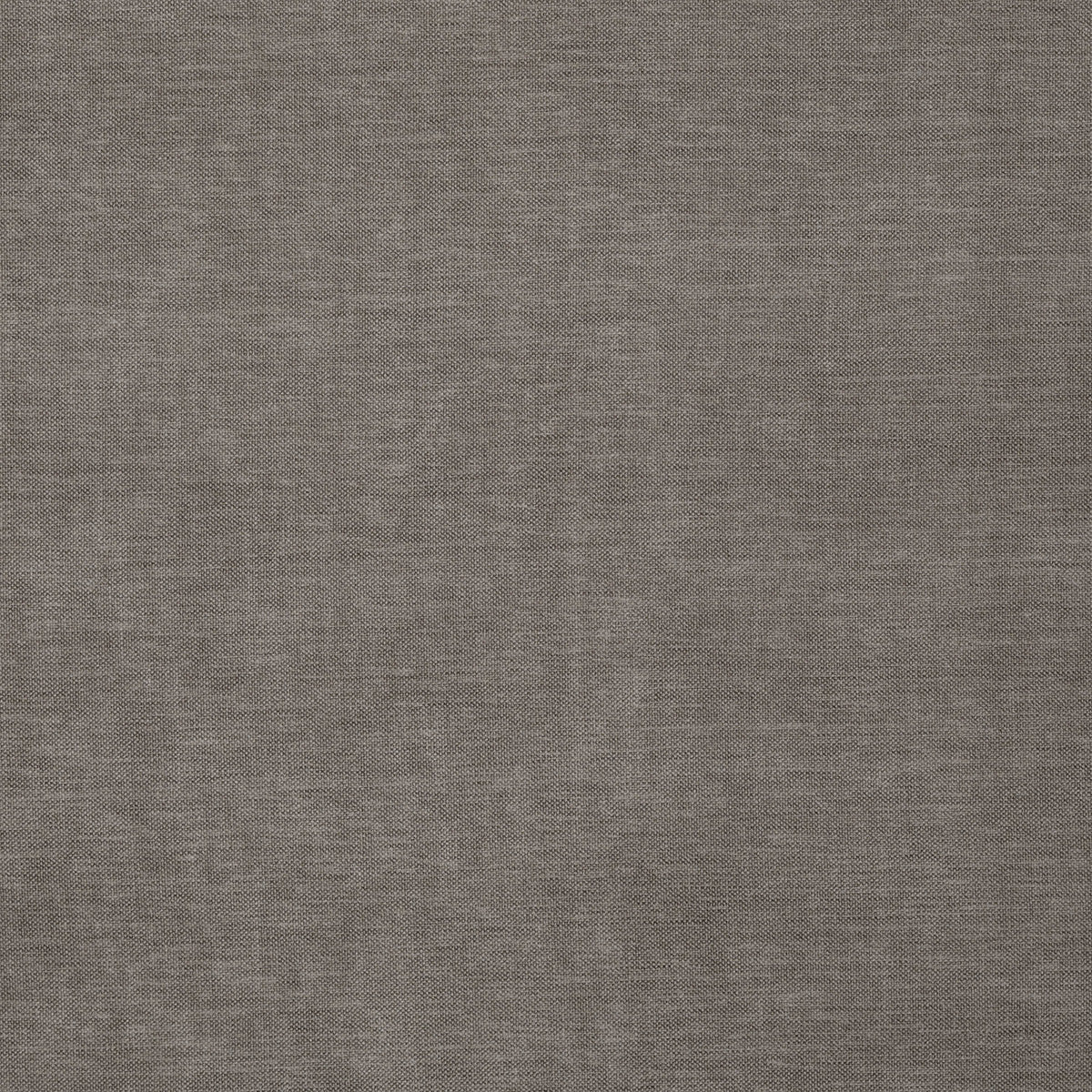 8402-paxton-ash-pindler