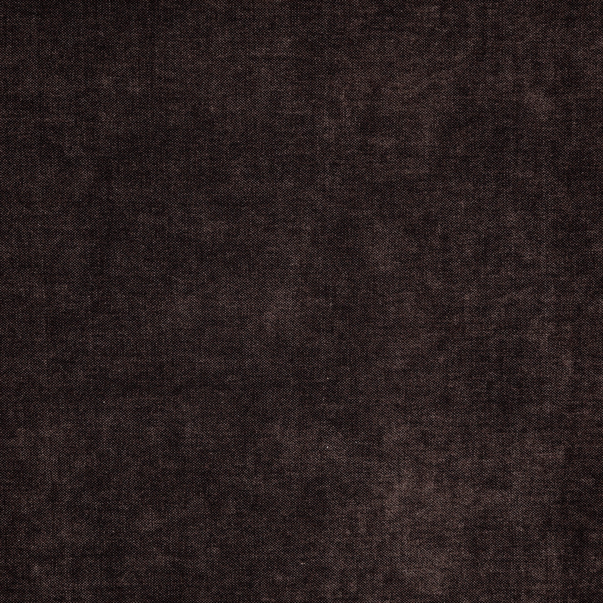 8402-paxton-chocolate-pindler
