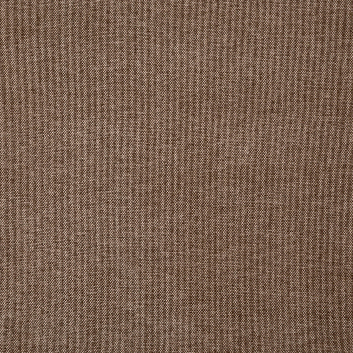 8402-paxton-sparrow-pindler - Pindler Fabric