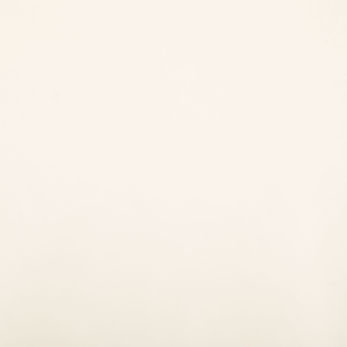 8403-raquel-bone-pindler