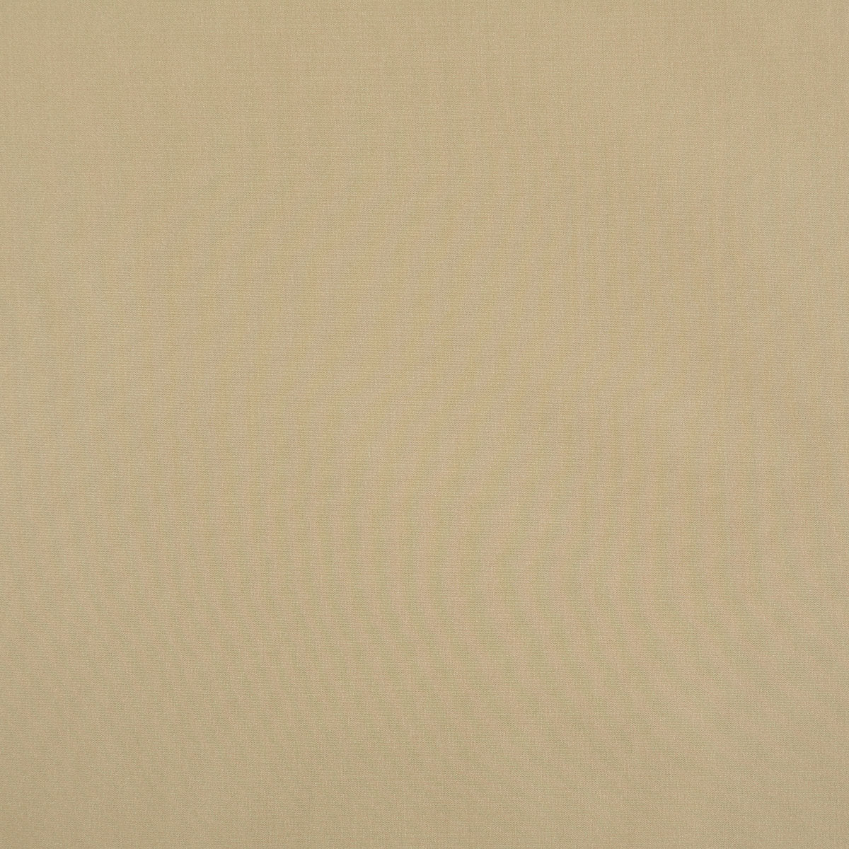8403-raquel-fawn-pindler