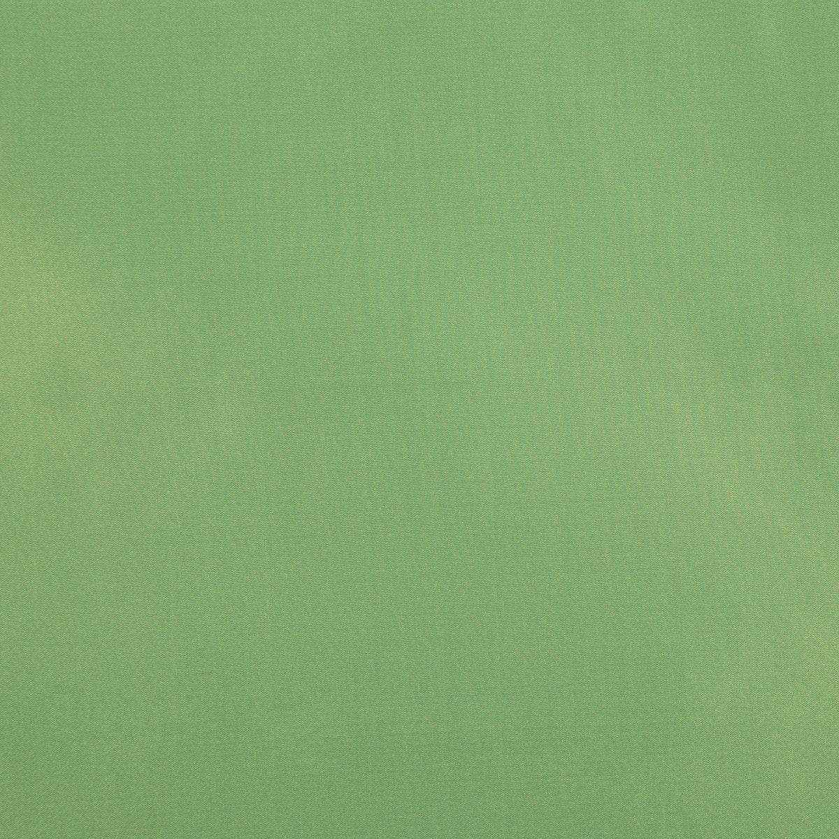 8403-raquel-leaf-pindler - Pindler Fabric