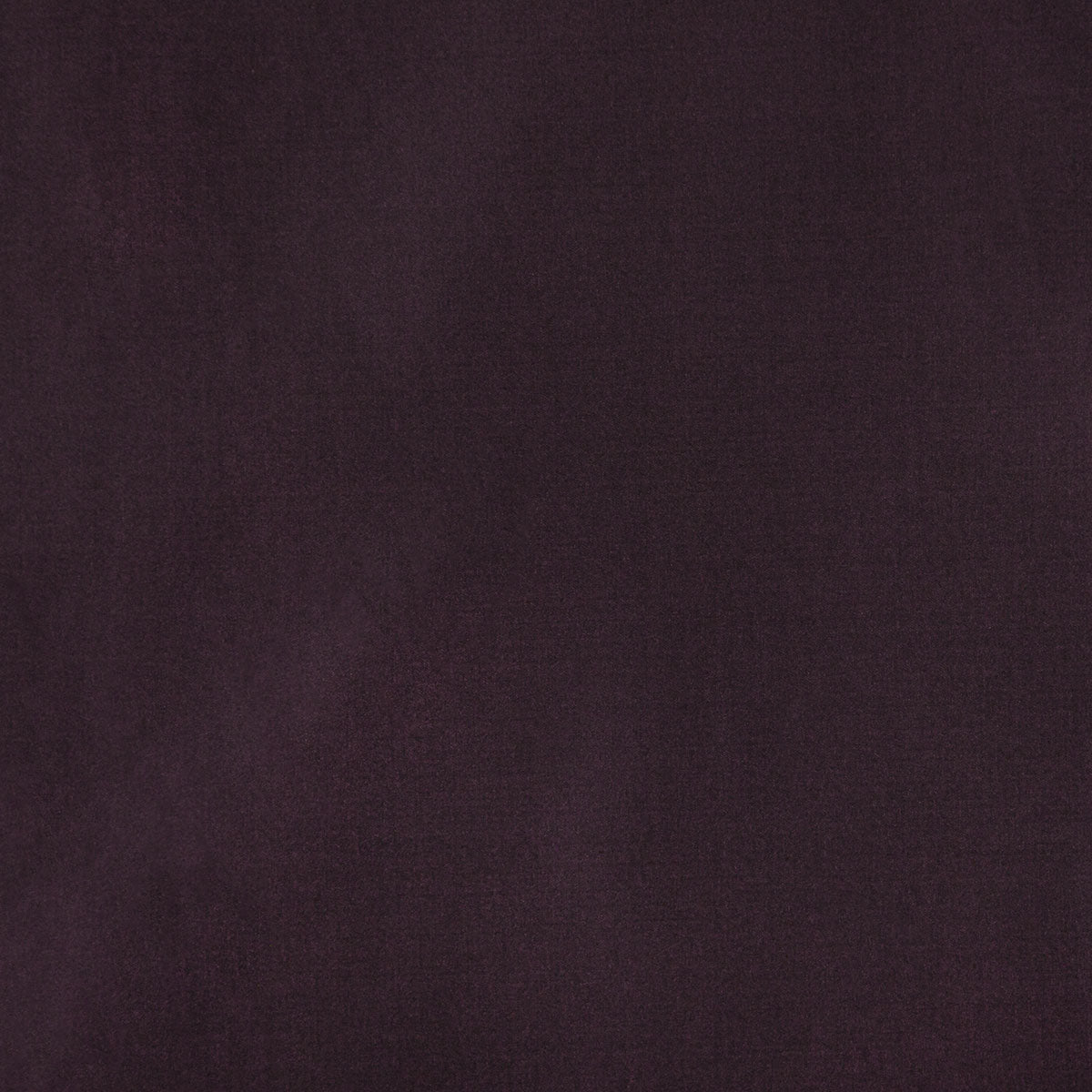 8403-raquel-purple-pindler