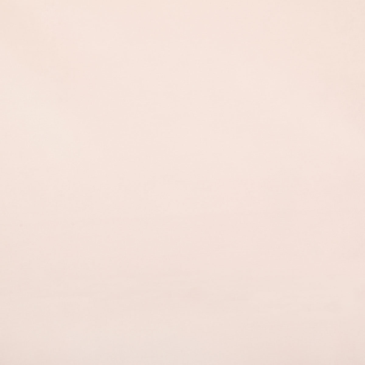 8403-raquel-shell-pindler