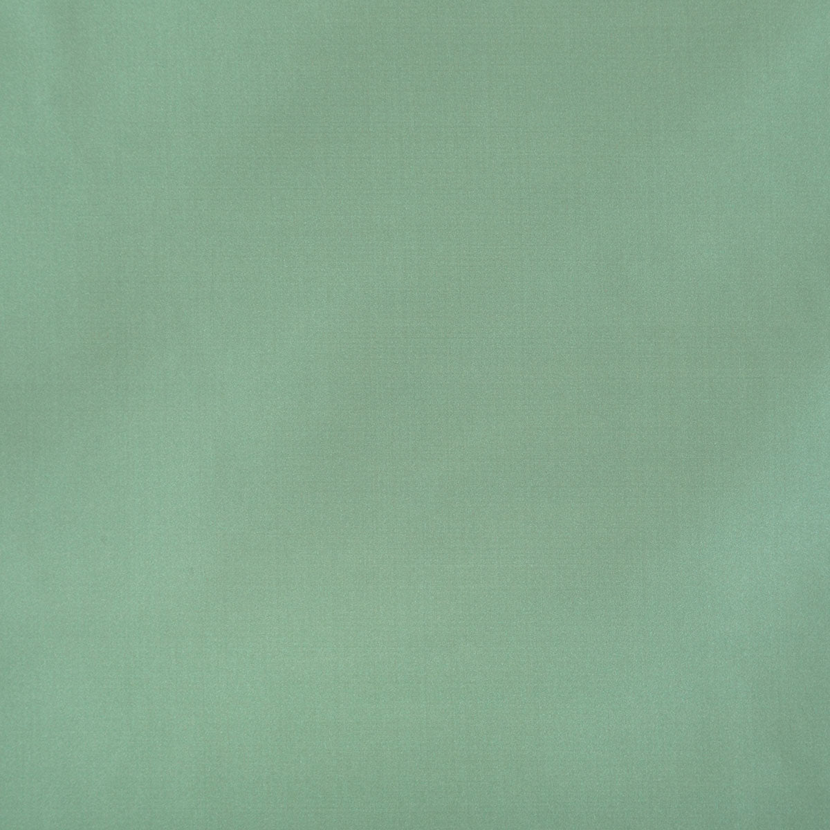 8403-raquel-silversage-pindler