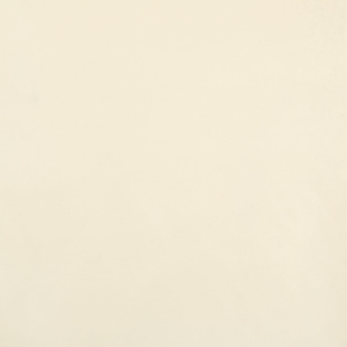 8403-raquel-vanilla-pindler