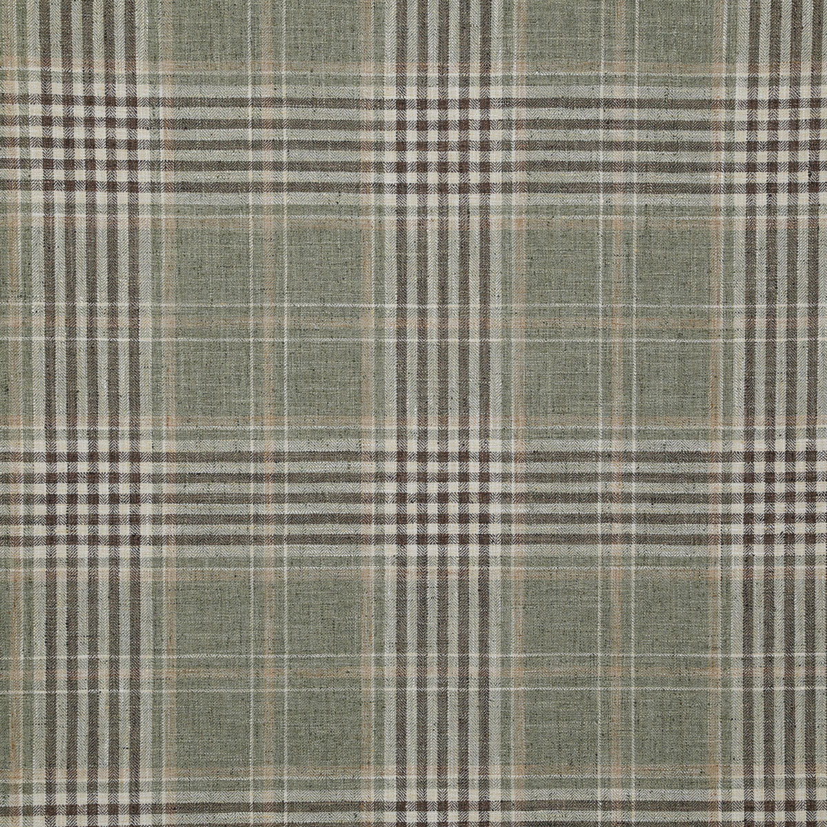8410-morton-cactus-pindler