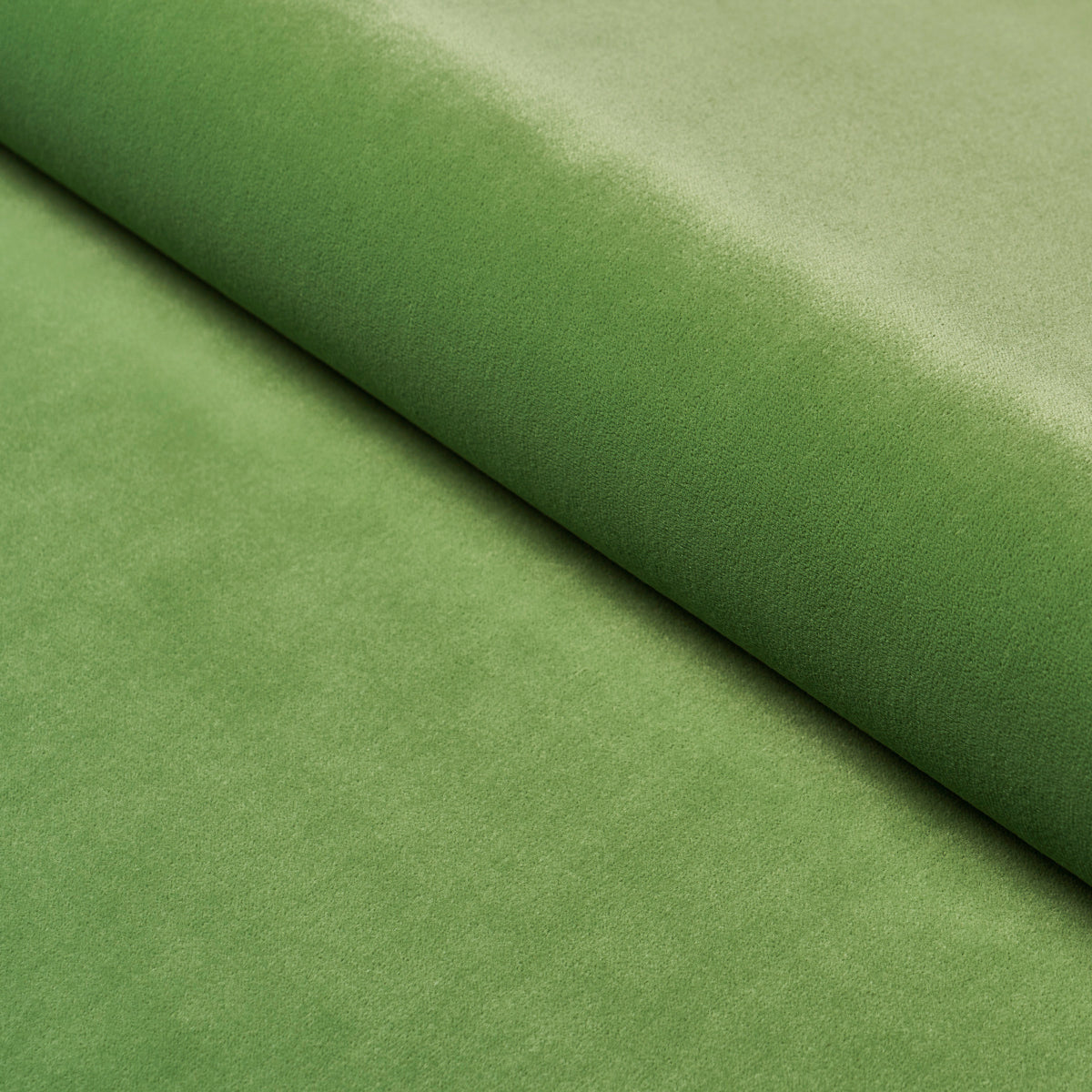 ALISTAIR-INDOOR-OUTDOOR-VELVET-GRASS-SCHUMACHER-84130 - Schumacher Fabric