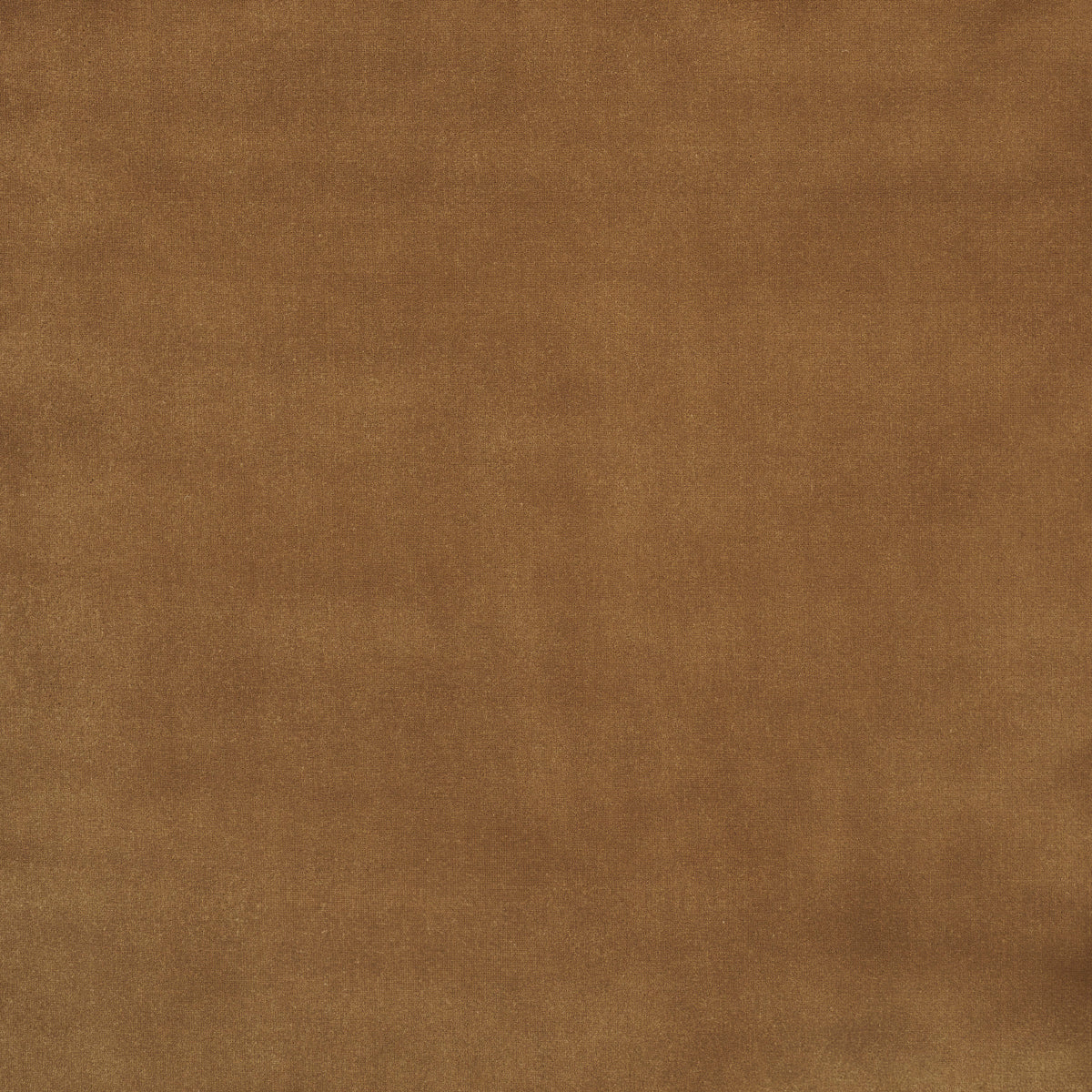 ALISTAIR-INDOOR-OUTDOOR-VELVET-MUSHROOM-SCHUMACHER-84134 - Schumacher Fabric