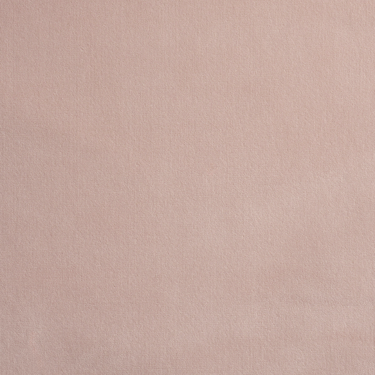 ALISTAIR-INDOOR-OUTDOOR-VELVET-BLUSH-SCHUMACHER-84135 - Schumacher Fabric