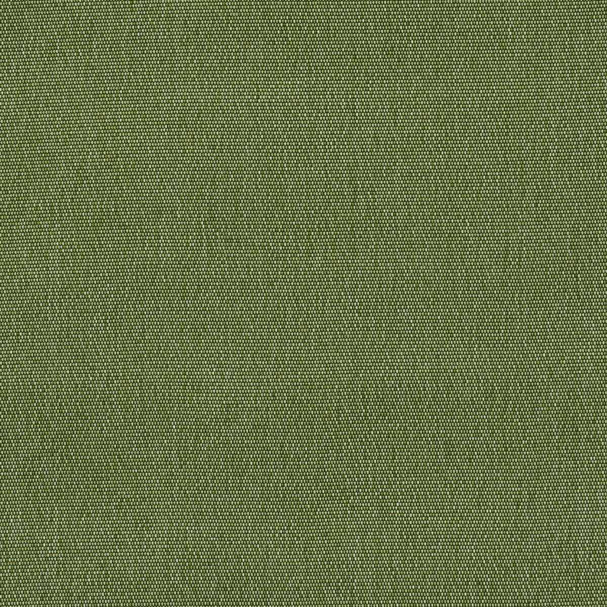COOPER-INDOOR-OUTDOOR-GREEN-SCHUMACHER-84140 - Schumacher Fabric