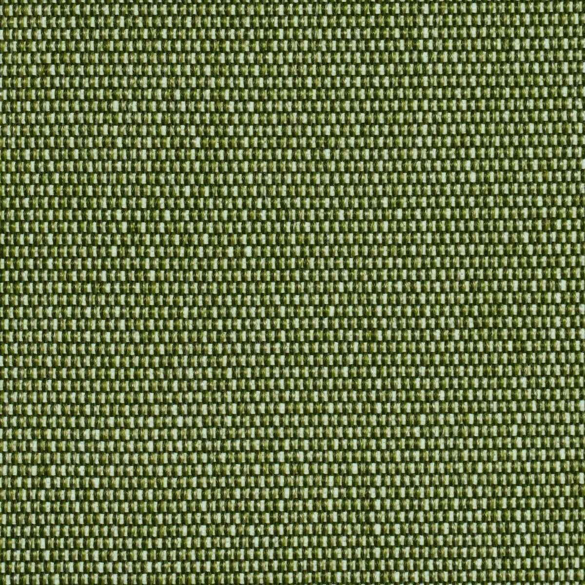 Cooper Indoor/Outdoor - Green - Schumacher 84140 - Schumacher Fabric