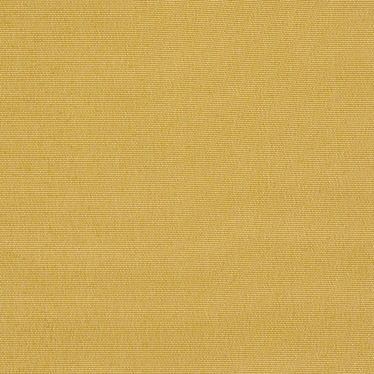 Cooper Indoor/Outdoor - Yellow - Schumacher 84141 - Schumacher Fabric