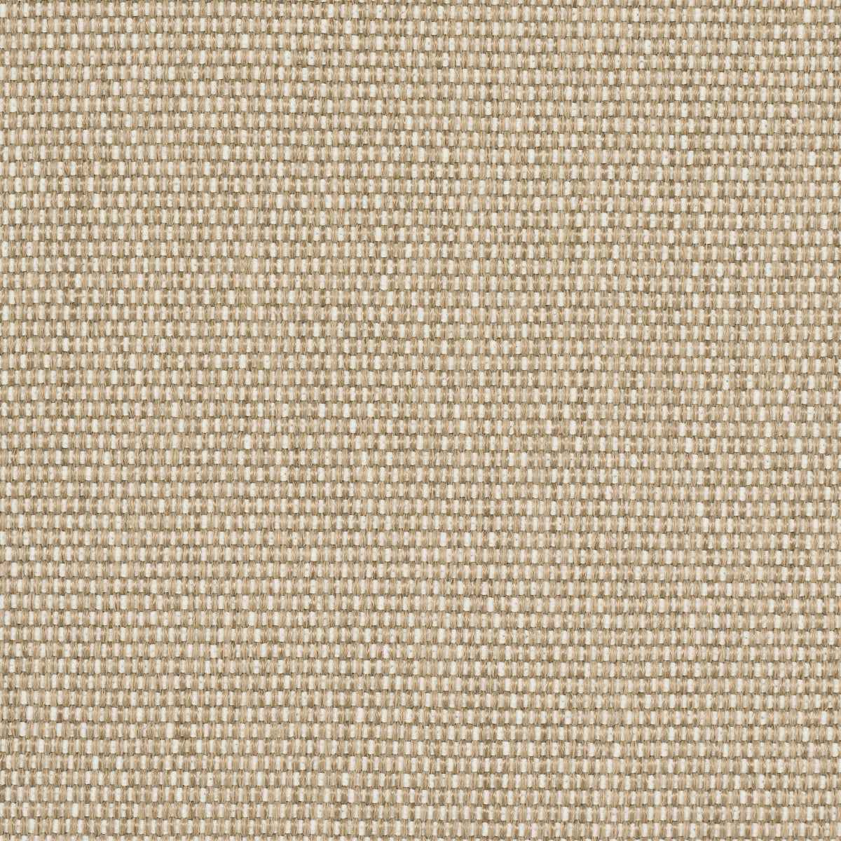 Cooper Indoor/Outdoor - Natural - Schumacher 84147 - Schumacher Fabric