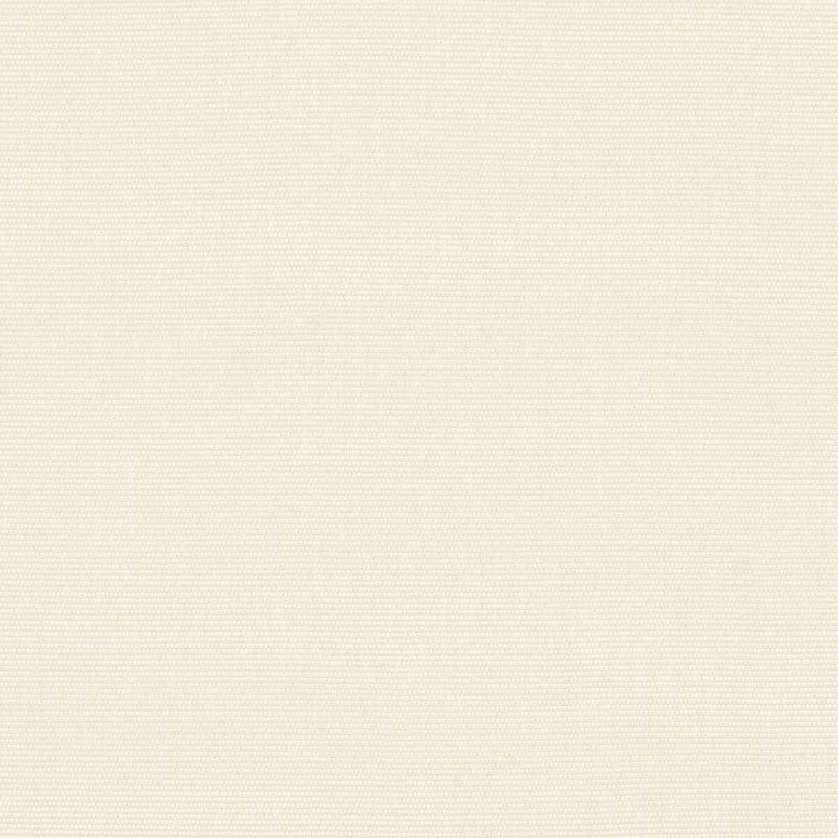 Cooper Indoor/Outdoor - Ivory - Schumacher 84148 - Schumacher Fabric