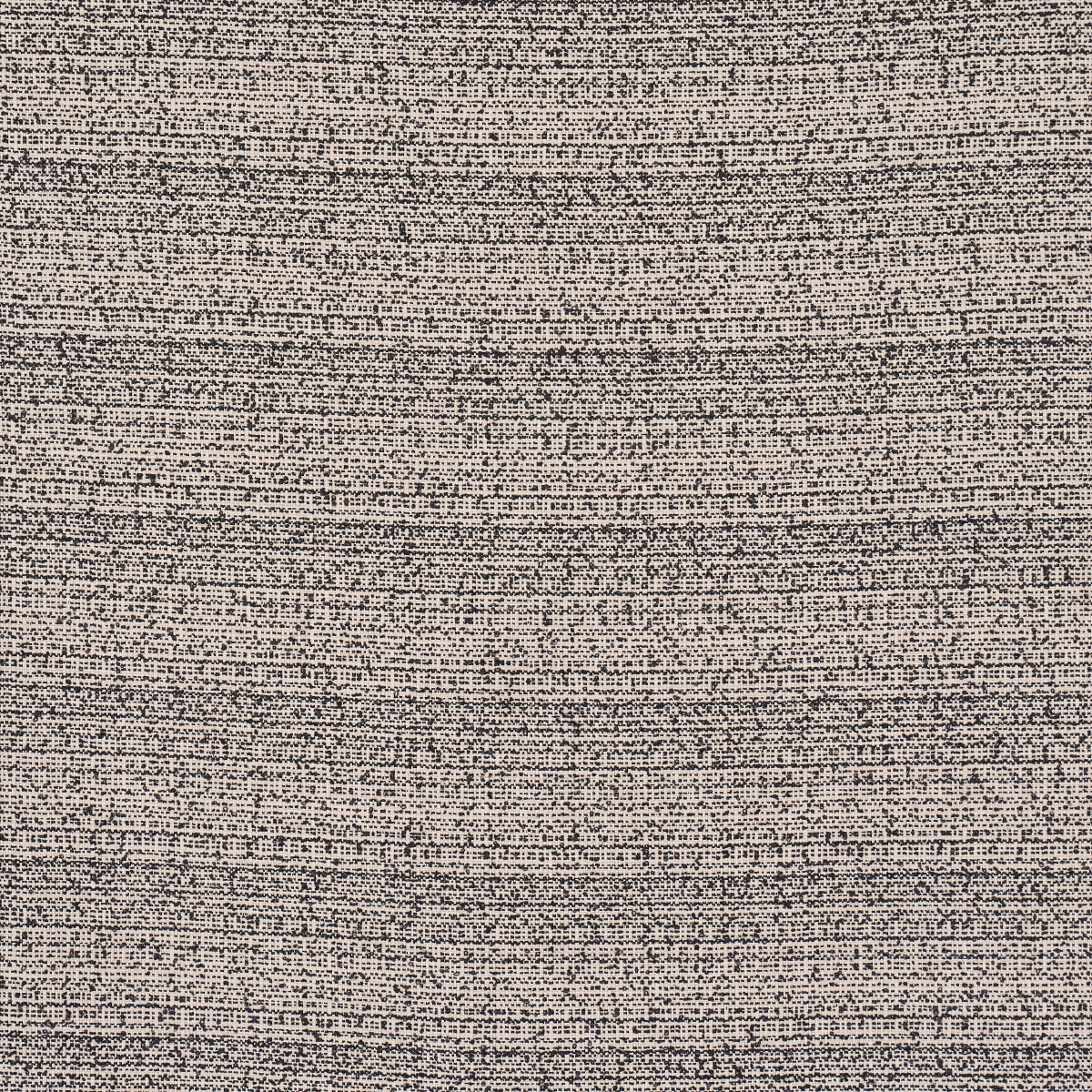 SADIE-INDOOR-OUTDOOR-BLACK-ON-NATURAL-SCHUMACHER-84152 - Schumacher Fabric
