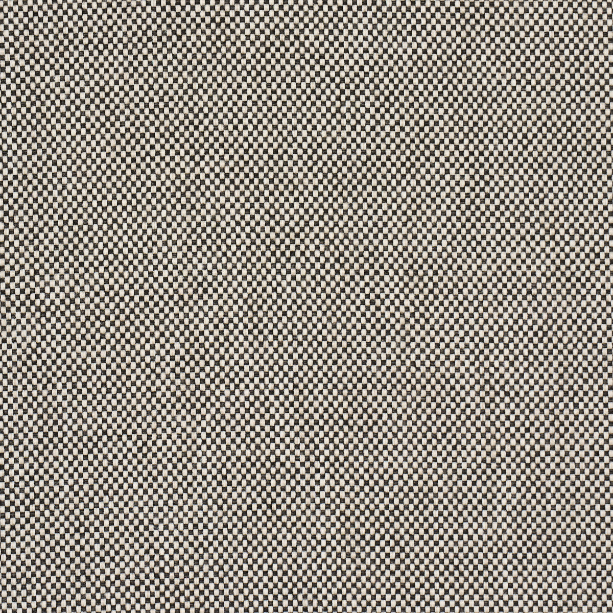 BROCK-INDOOR-OUTDOOR-BLACK-SCHUMACHER-84160 - Schumacher Fabric