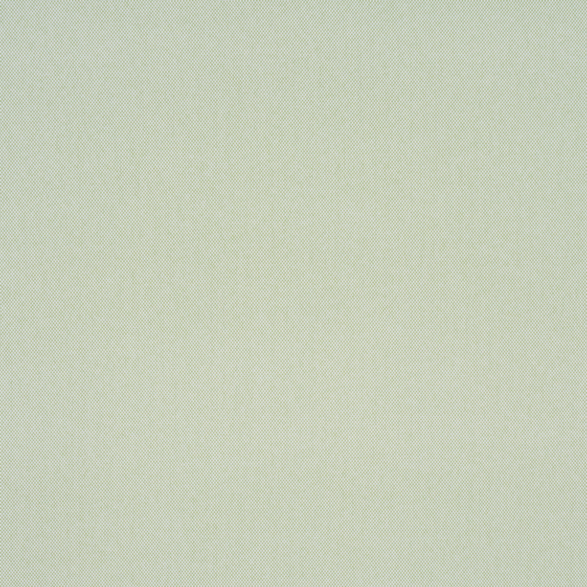 PIPPA-INDOOR-OUTDOOR-LEAF-SCHUMACHER-84173 - Schumacher Fabric
