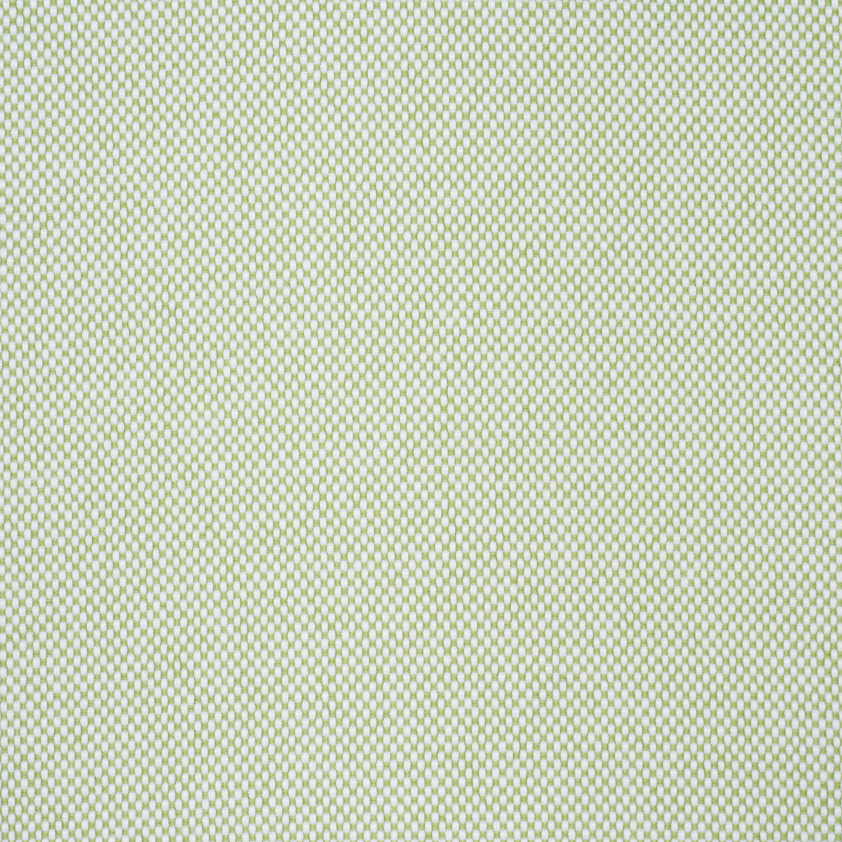 PIPPA-INDOOR-OUTDOOR-LEAF-SCHUMACHER-84173 - Schumacher Fabric