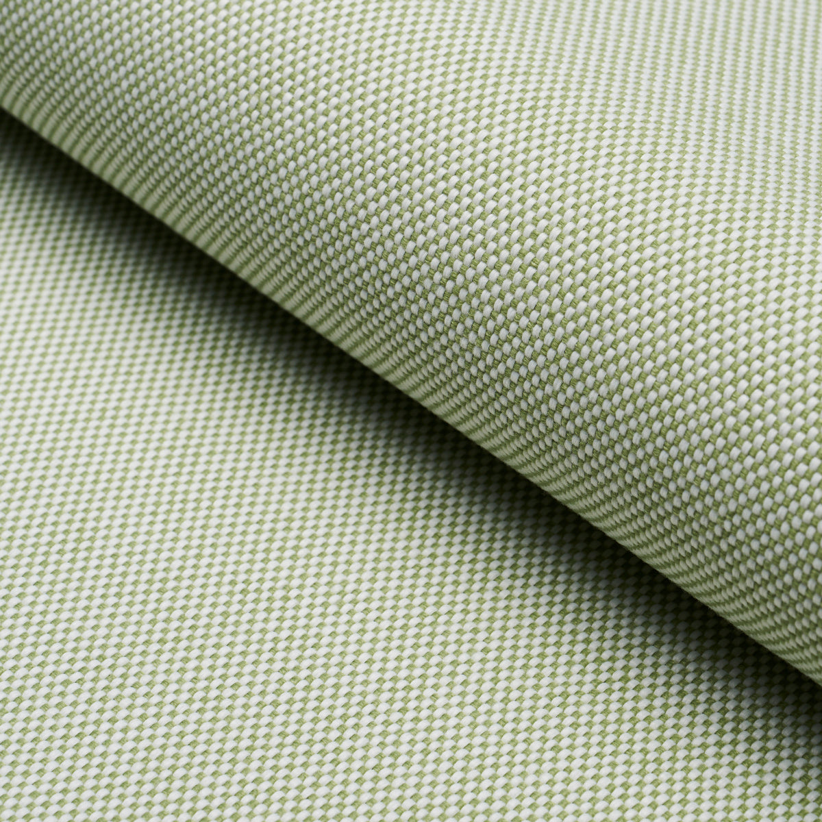 PIPPA-INDOOR-OUTDOOR-LEAF-SCHUMACHER-84173 - Schumacher Tela