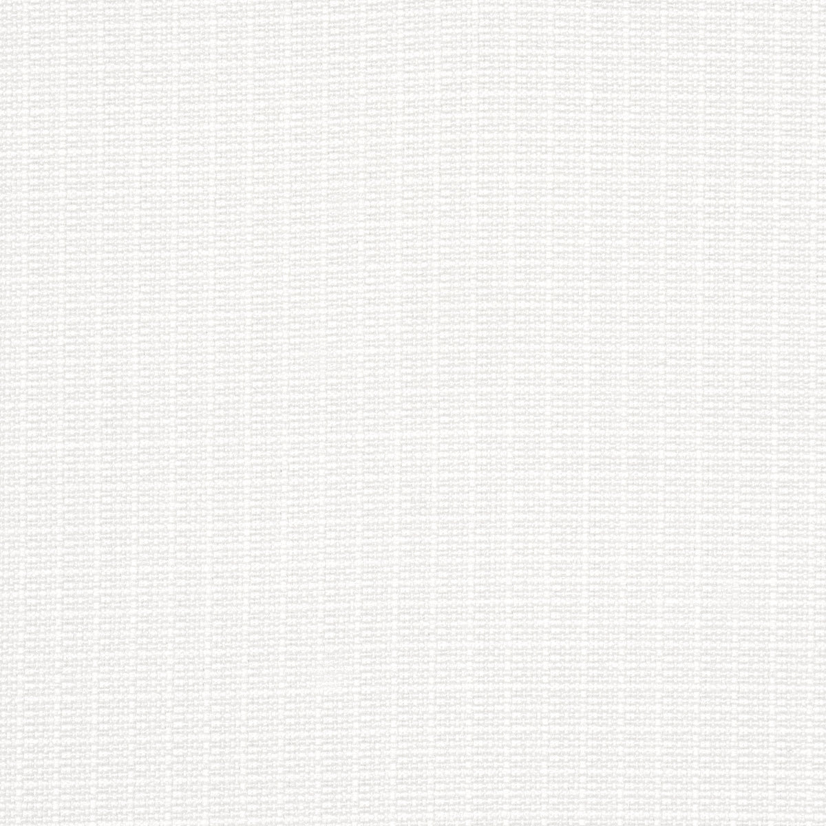 ARCHIE-INDOOR-OUTDOOR-WHITE-SCHUMACHER-84198 - Schumacher Fabric