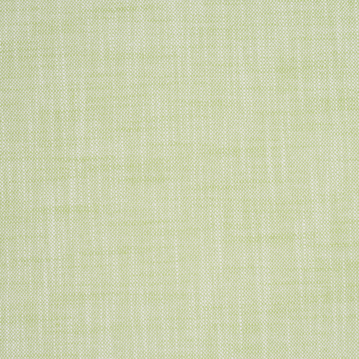 SASHA-INDOOR-OUTDOOR-GREEN-SCHUMACHER-84232 - Schumacher Fabric