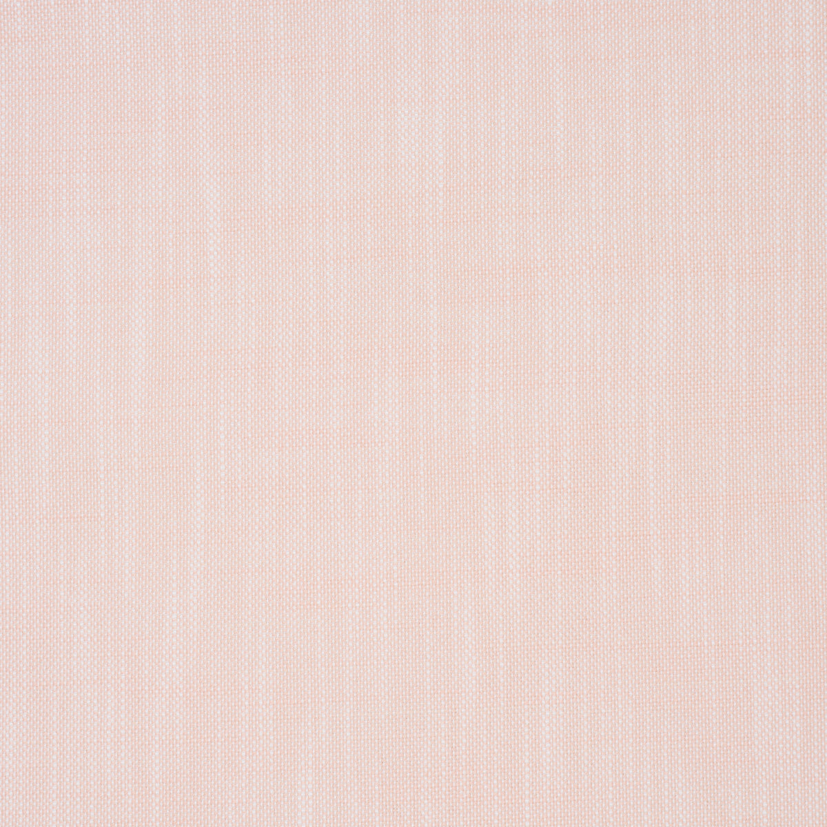 SASHA-INDOOR-OUTDOOR-BLUSH-SCHUMACHER-84235 - Schumacher Fabric