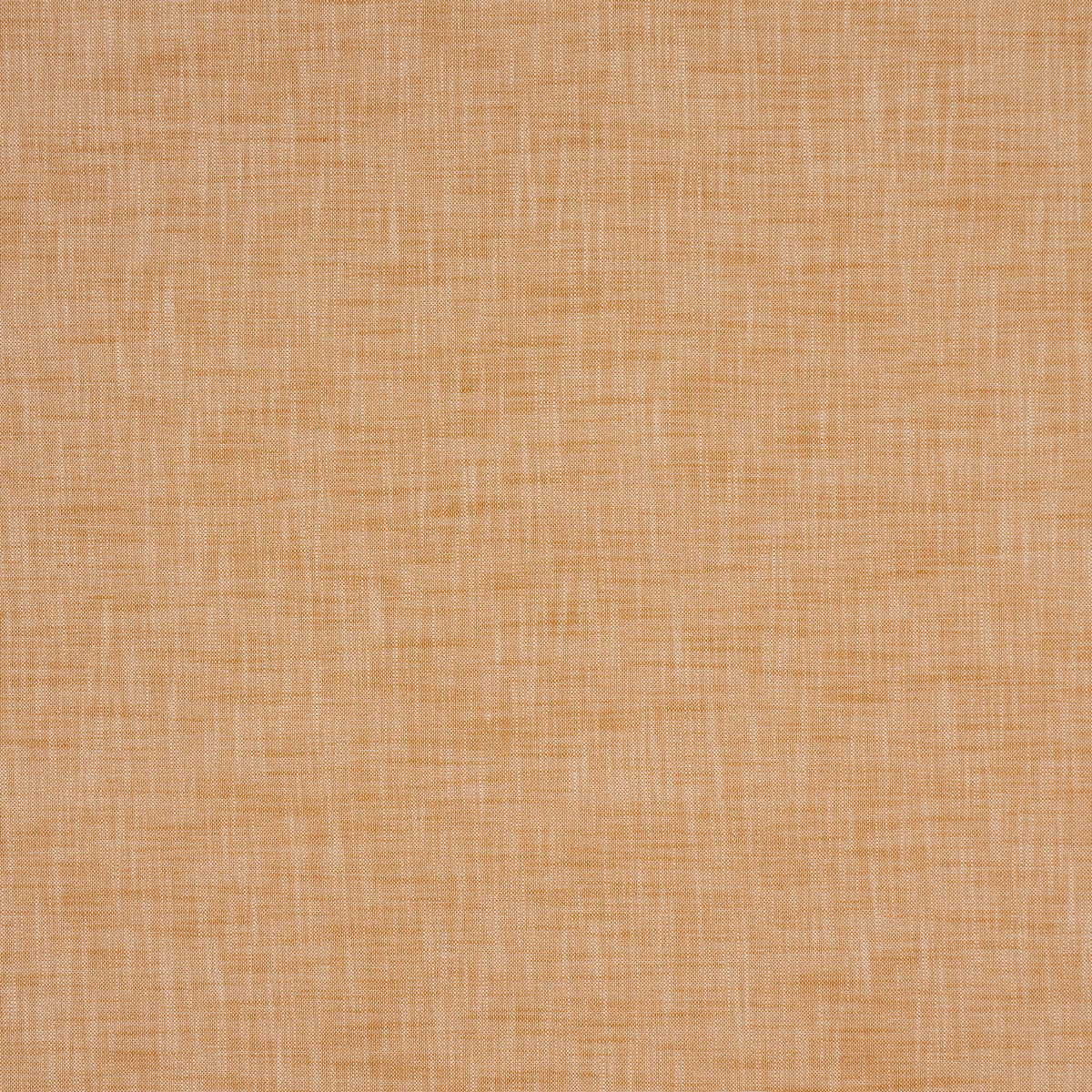 SASHA-INDOOR-OUTDOOR-TAN-SCHUMACHER-84236 - Schumacher Fabric