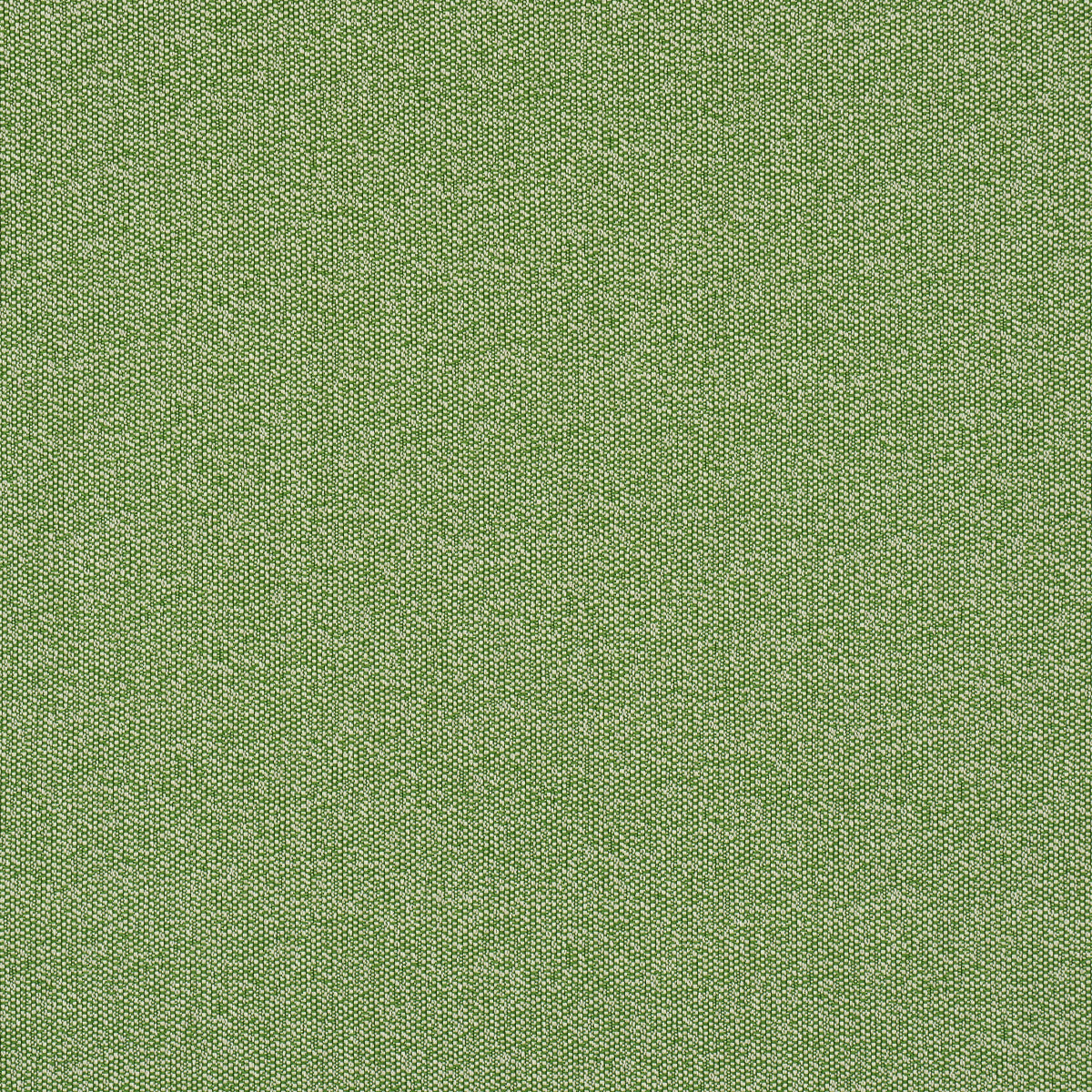 GUS-INDOOR-OUTDOOR-GRASS-SCHUMACHER-84341 - Schumacher Fabric